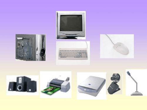 計算機的軟硬件組成及輔助設備批發概述